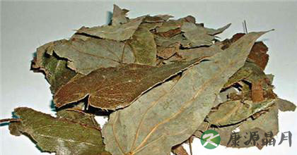 淫羊藿的功效与作用及临床应用