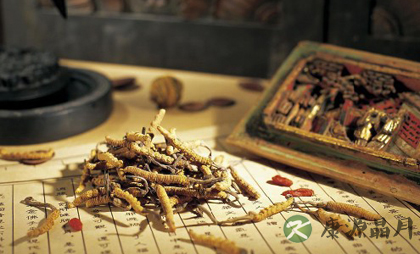 盘点常用的中医“药引”有哪些