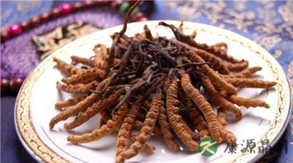 冬虫夏草怎么吃最好