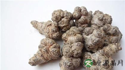 三七粉：媲美人参的补血圣品