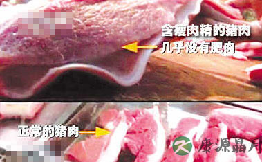 怎分辨猪肉含不含瘦肉精