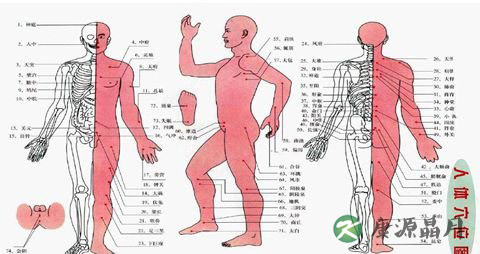 神秘的奇经八脉