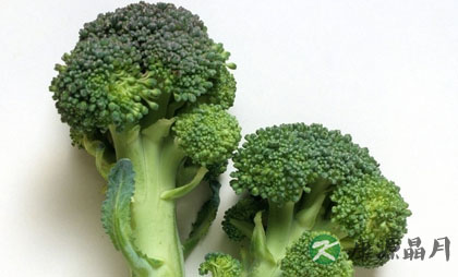 蔬菜是孕妇的必吃食品