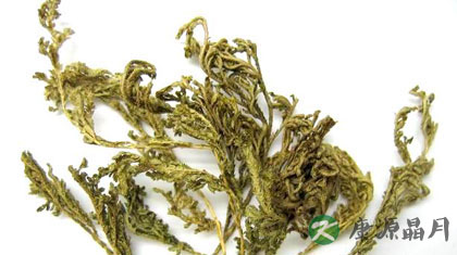 还魂草的药用价值 有抑菌止血作用