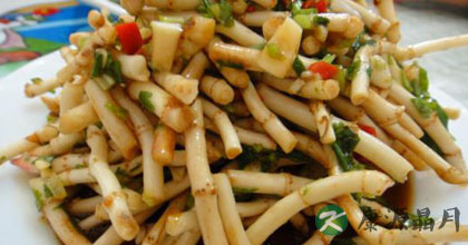 夏季清热养肺最好野菜——鱼腥草