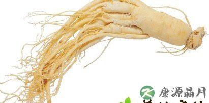 有助养生的中药有哪些？