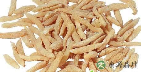 有助养生的中药有哪些？