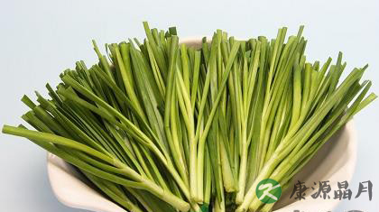 盘点韭菜的29种保健功效 盘点韭菜的29种保健功效