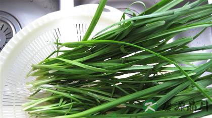 盘点韭菜的29种保健功效 盘点韭菜的29种保健功效
