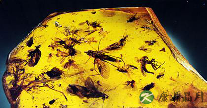 琥珀的种类以及鉴别方法 琥珀的种类以及鉴别方法