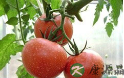 喉咙发炎 6种食物能灭火