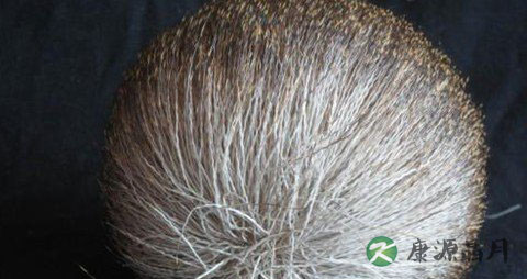 使用麝香壮骨膏有三忌 使用麝香壮骨膏有三忌