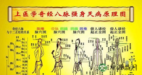 神秘的奇经八脉