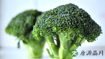 11种减肥蔬菜 安全健康有营养
