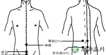 哪些是提高性功能的穴位