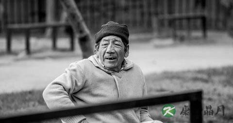 什么是粗纤维