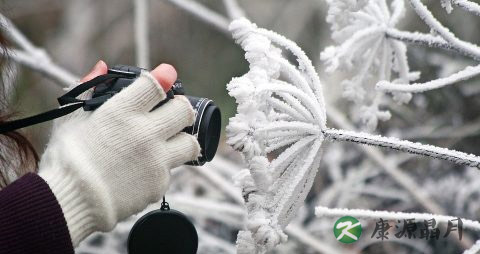 手冻了怎么办