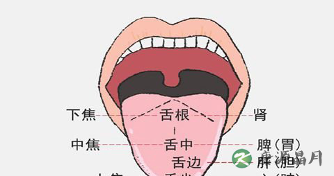 舌苔厚白小心是胃寒的症状！