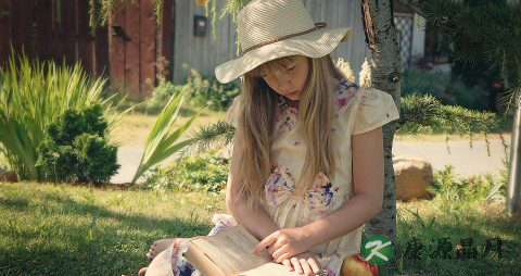 菊黄蟹肥：黄酒螃蟹好搭档