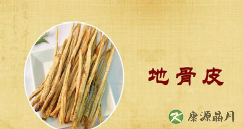 枸杞根的作用