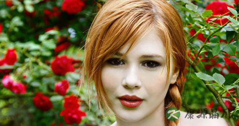 专家推荐的几款天麻药膳 专家推荐的几款天麻药膳