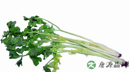 芹菜 清热解毒利尿消肿