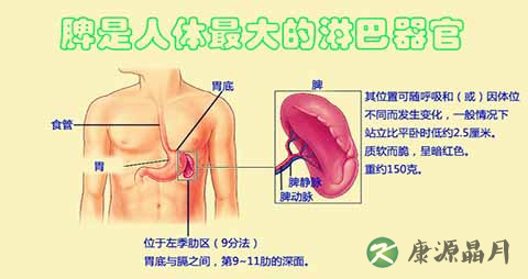 脾困的症状