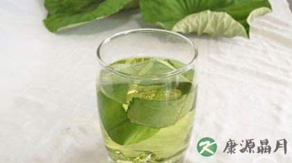 荷叶茶怎么喝才减肥