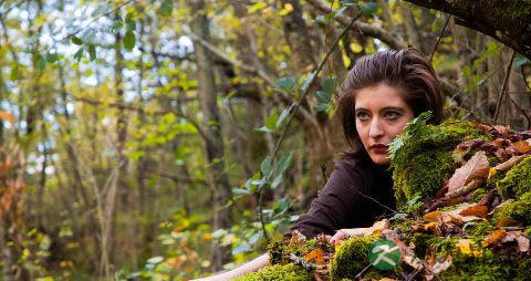 盘点番石榴的功效与作用有哪些 盘点番石榴的功效与作用有哪些