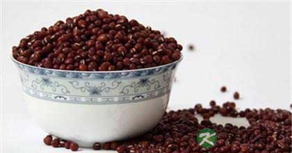 身体护理食物的有机选择 身体护理食物的有机选择