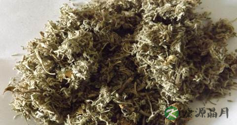 茵陈的功效与作用