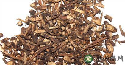 北豆根的功效与作用剖析 北豆根的功效与作用剖析