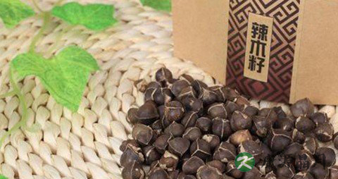 凉血止血的中药有哪些