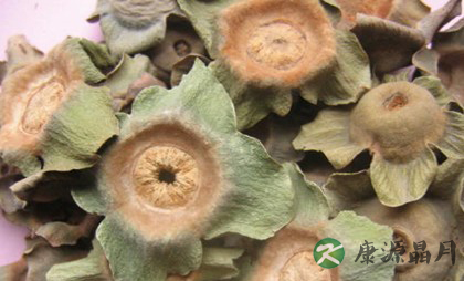 中药避孕：6种中药有避孕功效