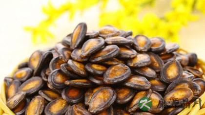 南瓜子的功效有哪些