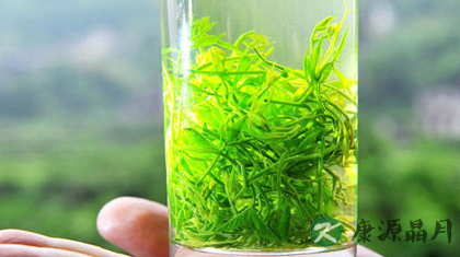 绞股蓝泡水喝的功效