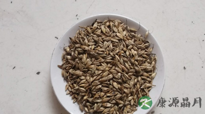 消食的中药有哪些