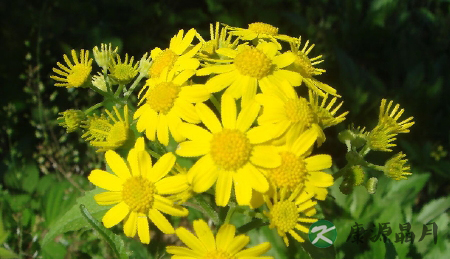 超实用：30个生活小妙招