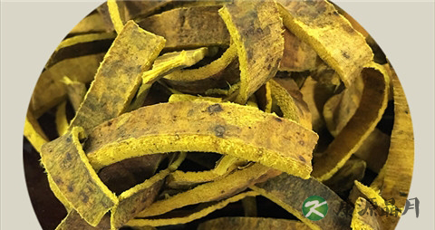 知母和黄柏有什么区别