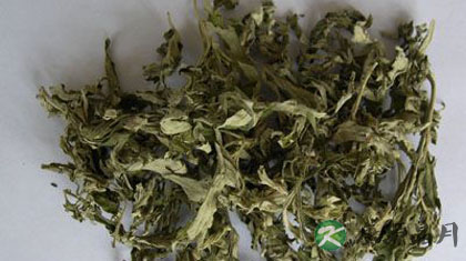 艾叶泡脚的6大好处 祛寒降火通经络