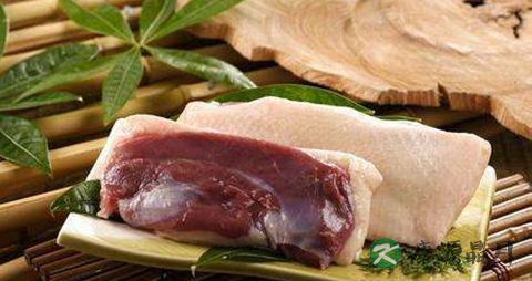 怀孕能吃鸭肉吗