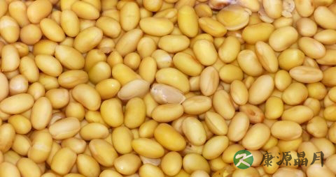 釉质发育不全怎么办