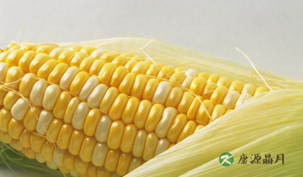 食玉米降低老人黄斑病变率