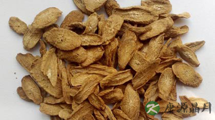 牛蒡茶怎么喝