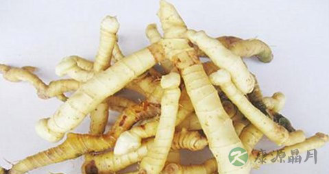玉竹的药用价值_玉竹的副作用