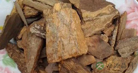 樟树皮的药用价值_樟树皮的副作用