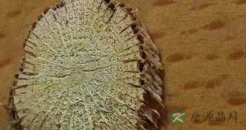 关木通的药用价值_关木通的副作用