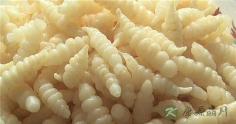 甘露子的药用价值_甘露子的副作用
