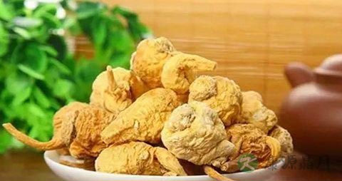 吃玛卡好还是淫羊藿好