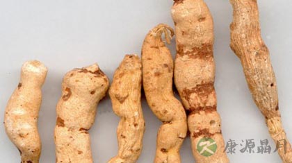 甘遂的功效与作用_甘遂的药用价值